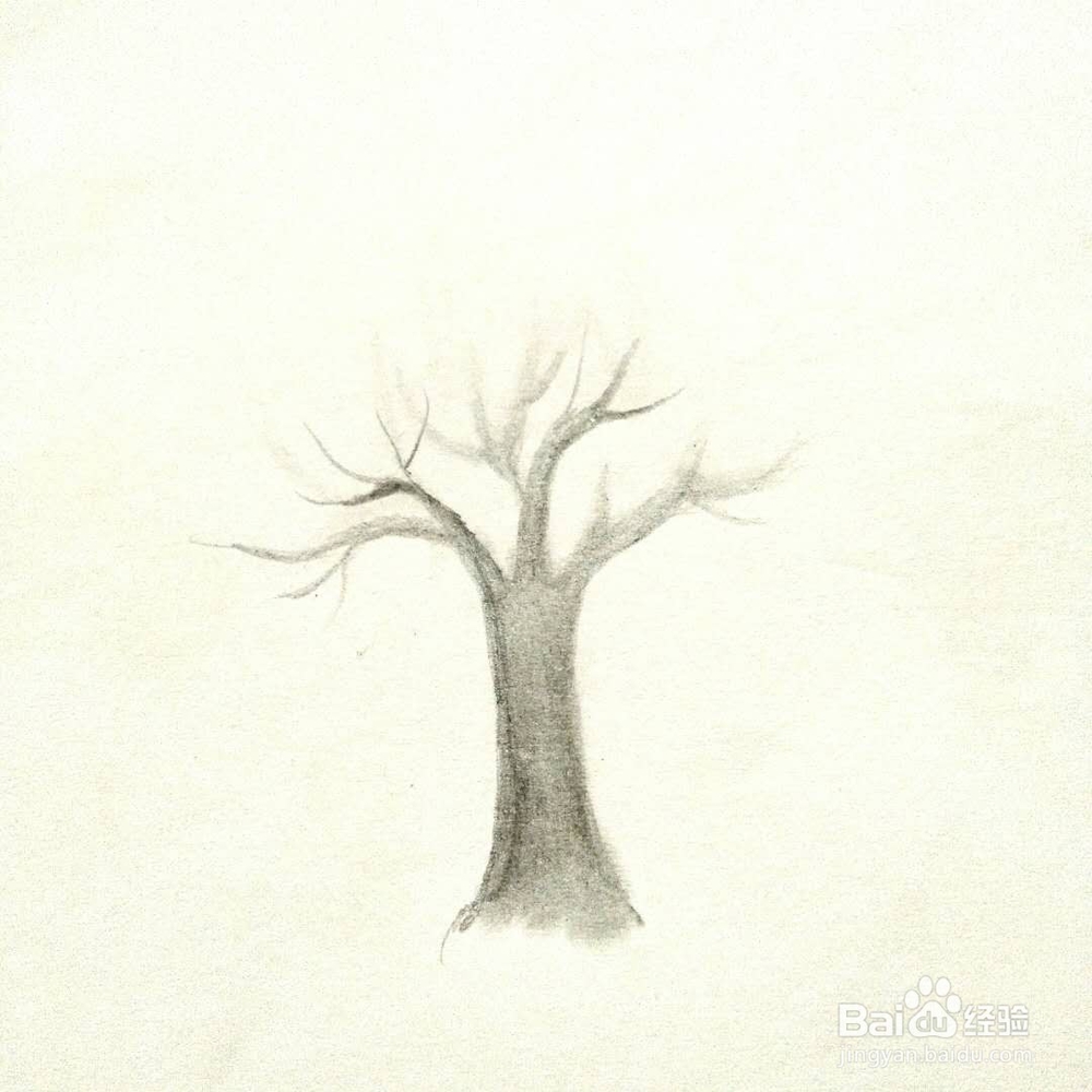 怎样画一颗树？