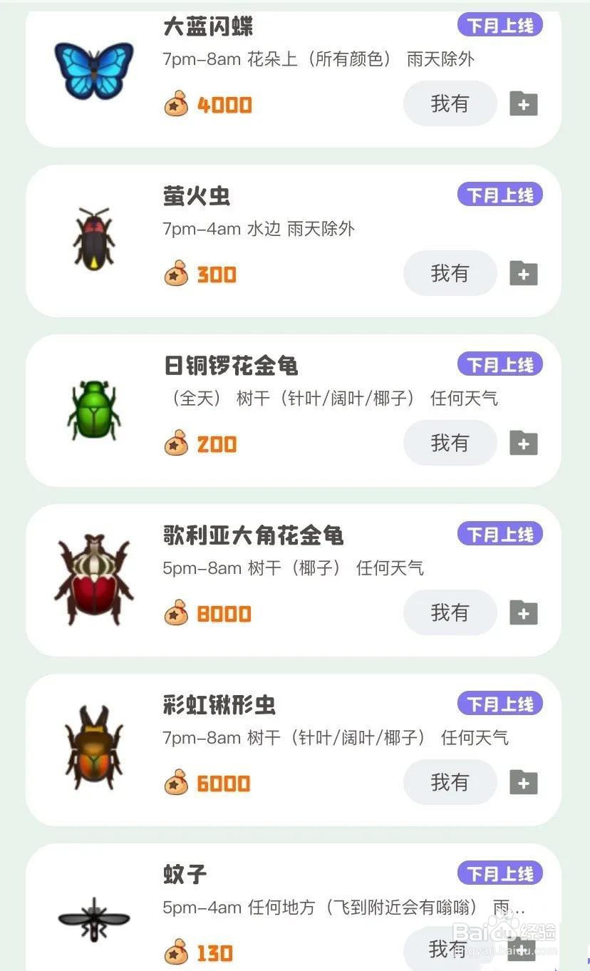 动森钓鲨鱼攻略
