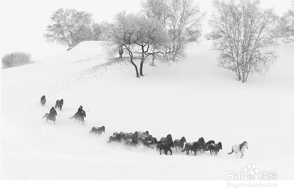 怎样让旅行更加舒适美好?