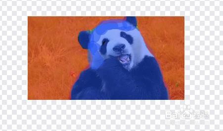 如何用word完成抠图