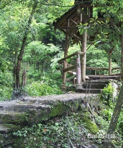 都江堰青城山两日游