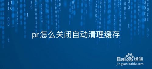 pr怎么关闭自动清理缓存