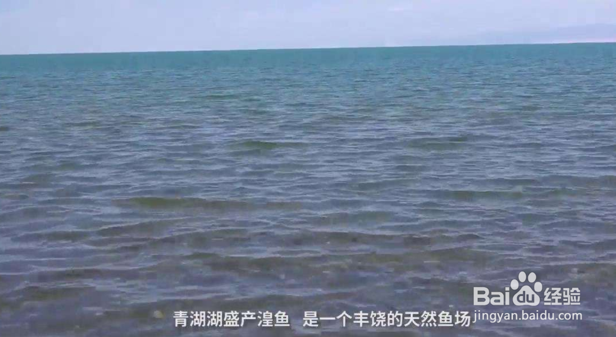 暑期青海湖省钱攻略