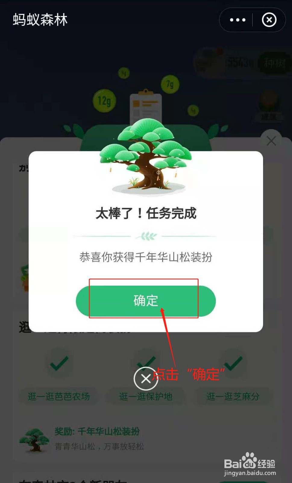 蚂蚁森林如何获得千年华山松装扮