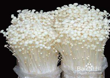 金针菇如何种植