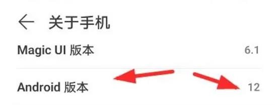 荣耀60怎么查看手机的安卓版本