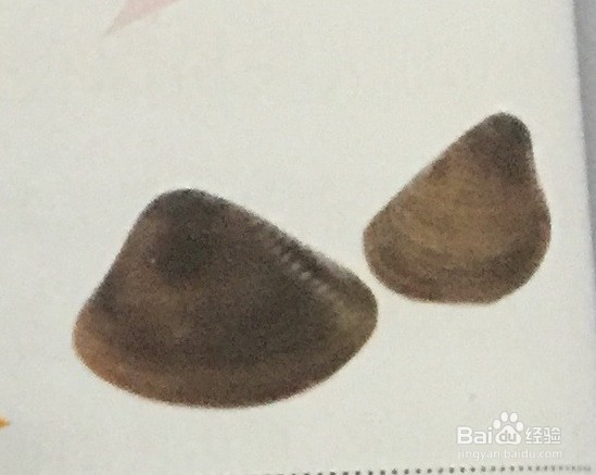 河鲜、海鲜做之前怎么清洗
