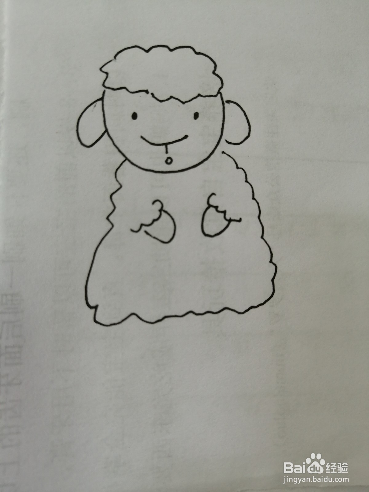 可爱的小绵羊怎么画
