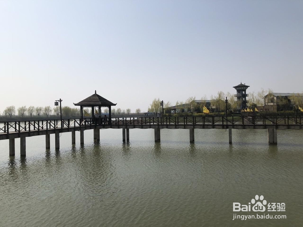 高邮周末踏青一日游推荐