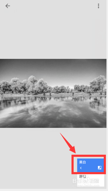 snapseed怎么局部彩色