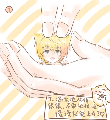 仓鼠饲养基础手册