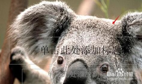 PPT设置背景及纹理