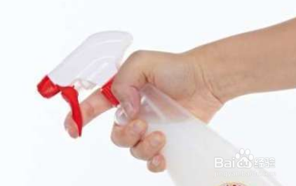 晚上消灭蟑螂的小妙招