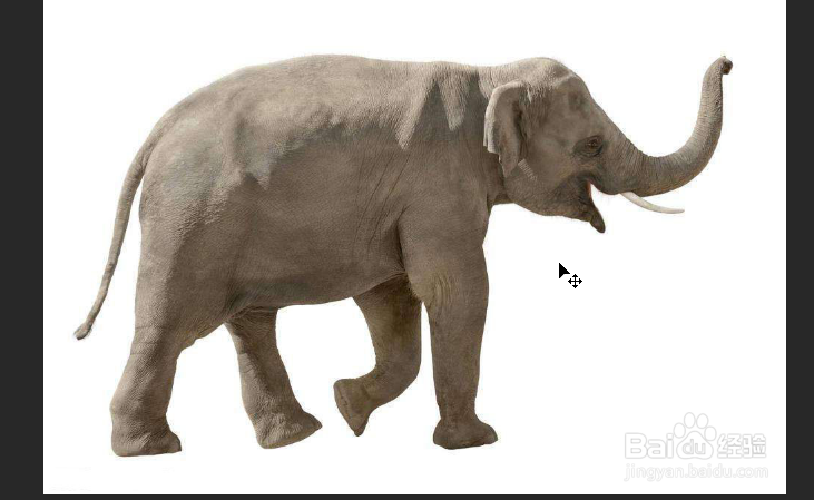 Photoshop如何制作裂痕大象