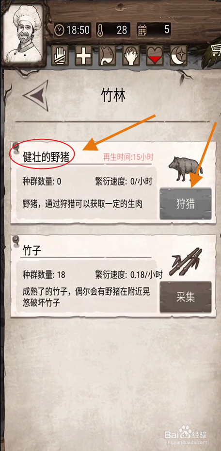 《荒岛日记孤岛》如何狩猎健壮的野猪