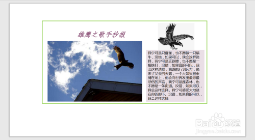 雄鹰之歌手抄报