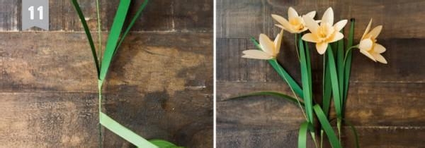 水仙花diy教程