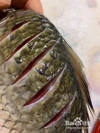 如何制作红烧鲫鱼？