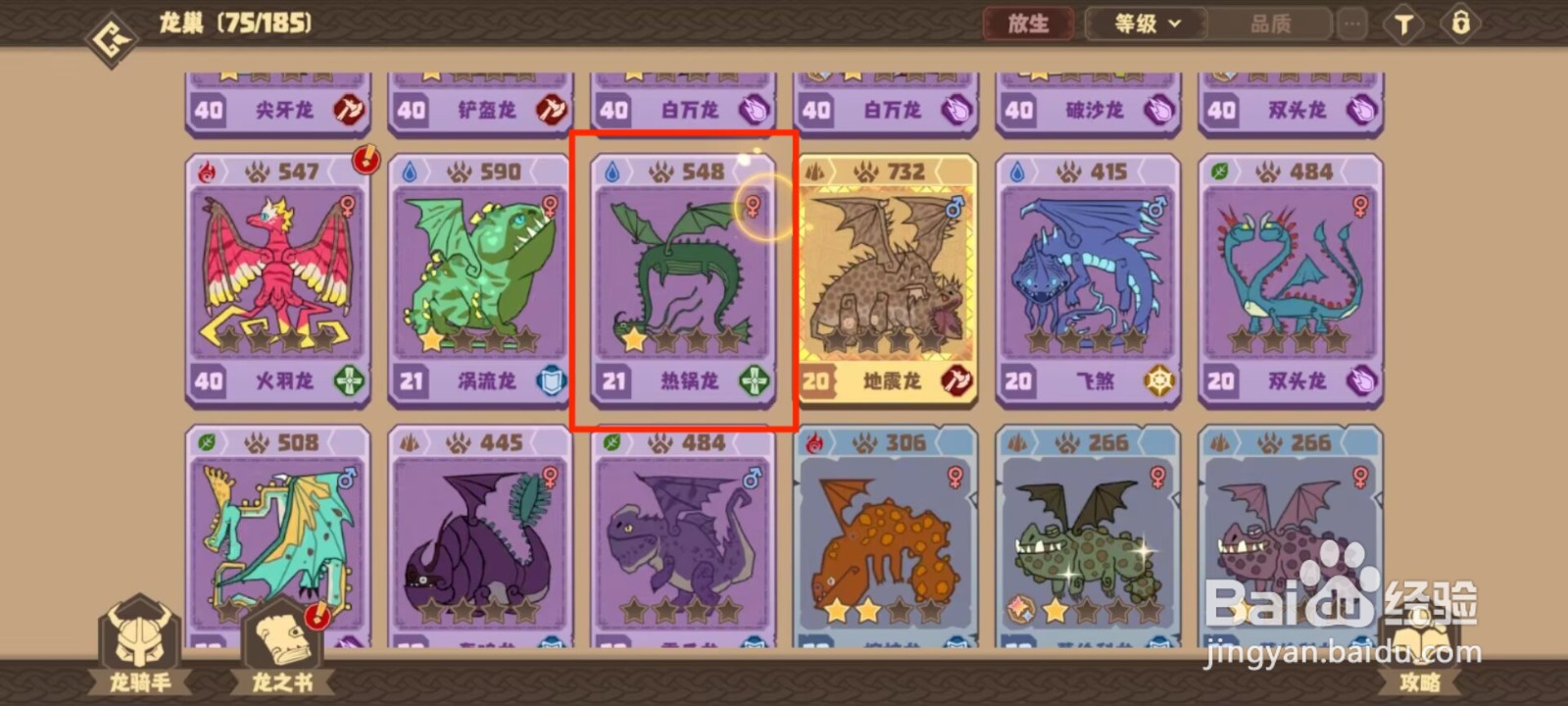 驯龙高手旅程热锅龙如何穿戴装备？