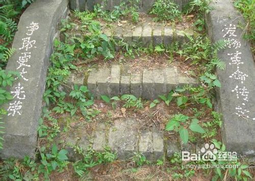 信丰油山上乐斜塔一日游