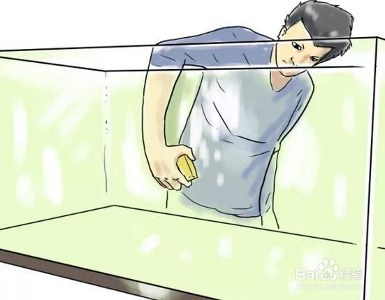 怎样养好一只龟?