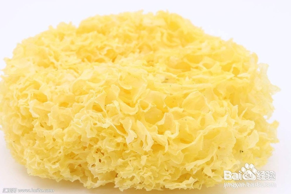 芷柏荷汤怎么做