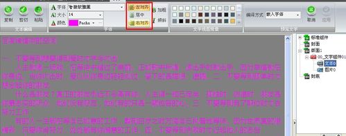 电子杂志Iebook超级精灵2011最新版文字模板编辑