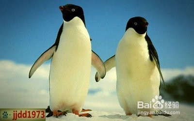 为什么美满的婚姻最后总是以失败告终