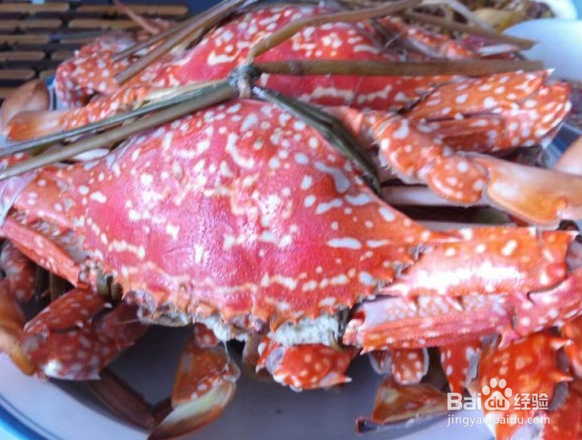 啤酒螃蟹的做法