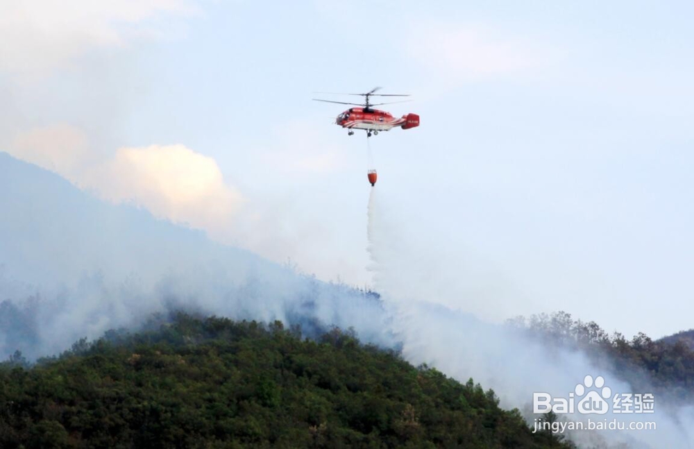野外如何防止森林火灾，如何自救