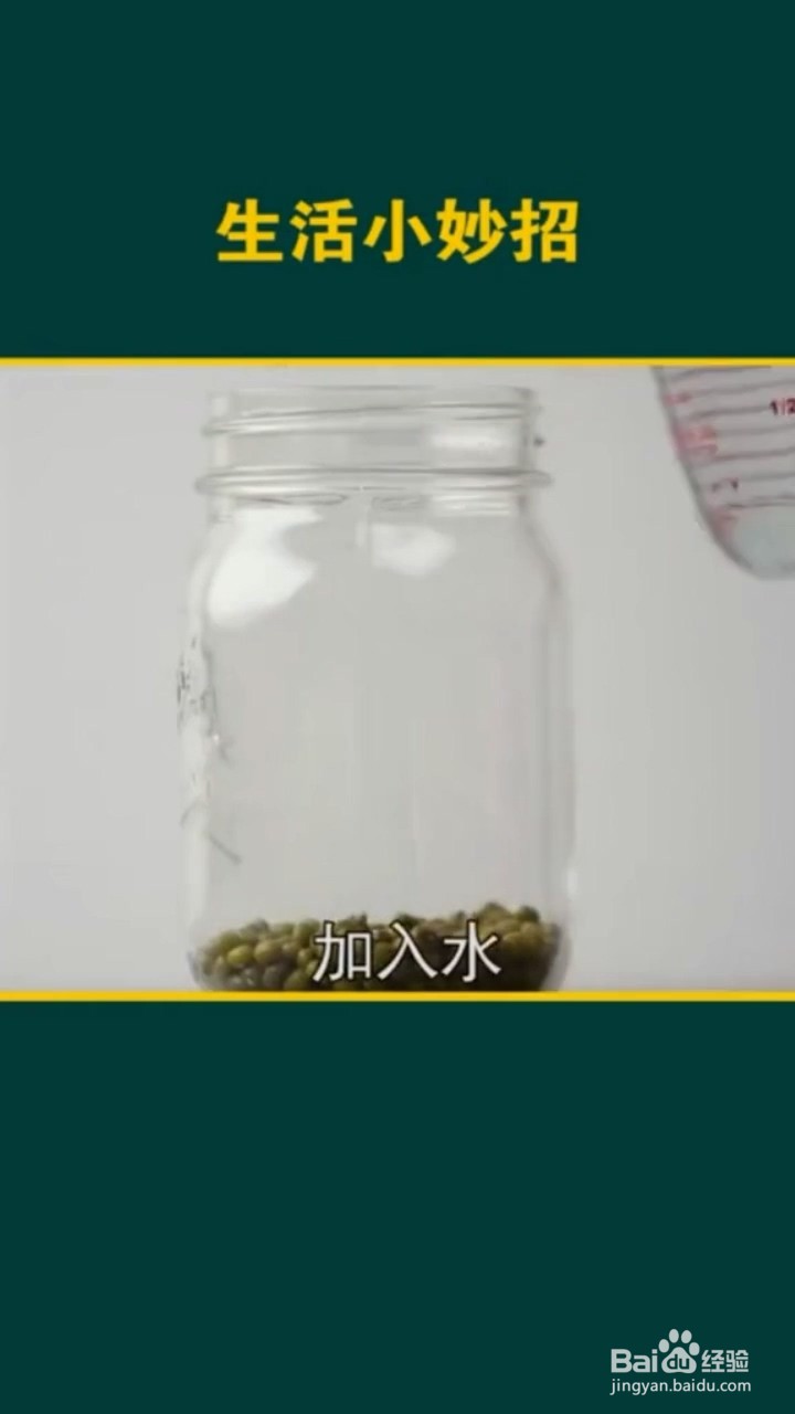 植物种植的小妙招