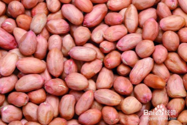 适合夏季养胃吃的12种食物