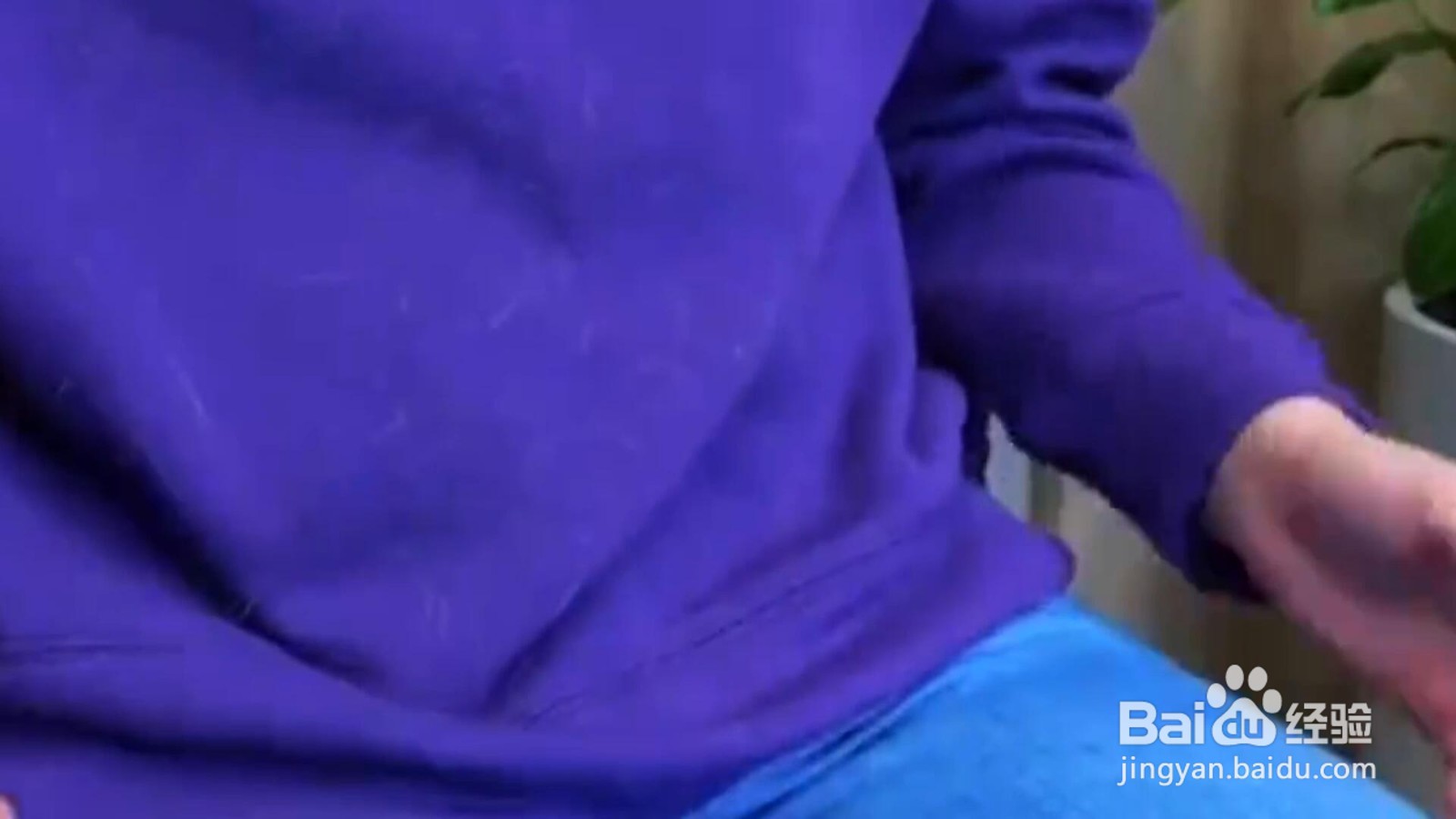 撸猫后粘一身毛怎么办？