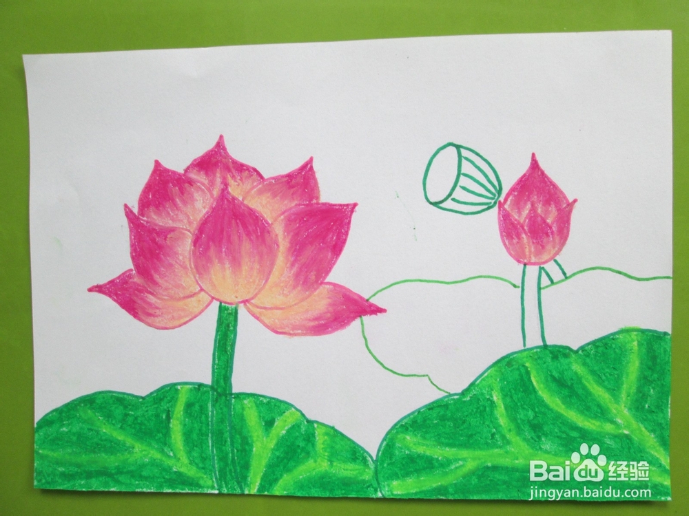 我们来学油画棒：[6]荷花