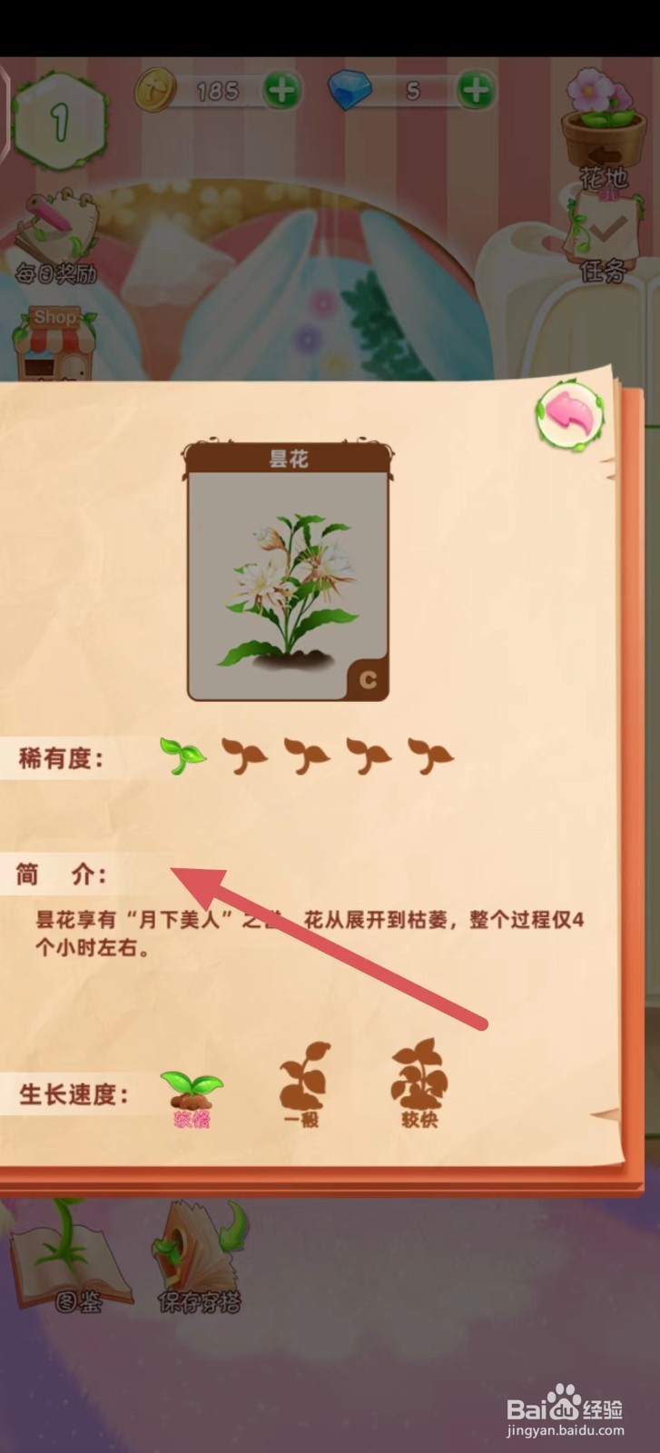 花花姑娘之魔法花园怎么查看昙花的简介