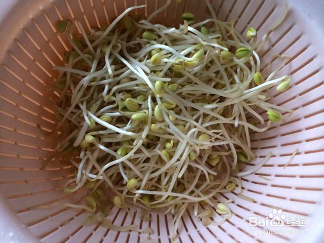 味美鲜香的豆芽木耳炒粉条