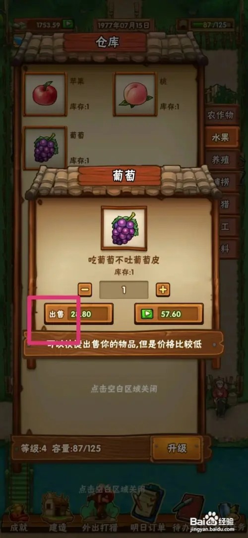 外婆的小农院怎样出售葡萄