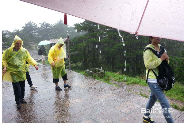旅行前,哪些东西都是必备的呢