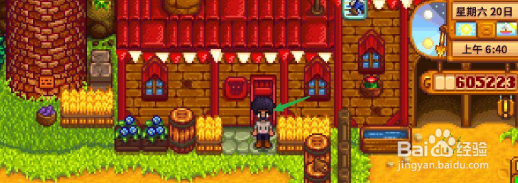 星露谷物语刘易斯的紫色短裤怎么获得？