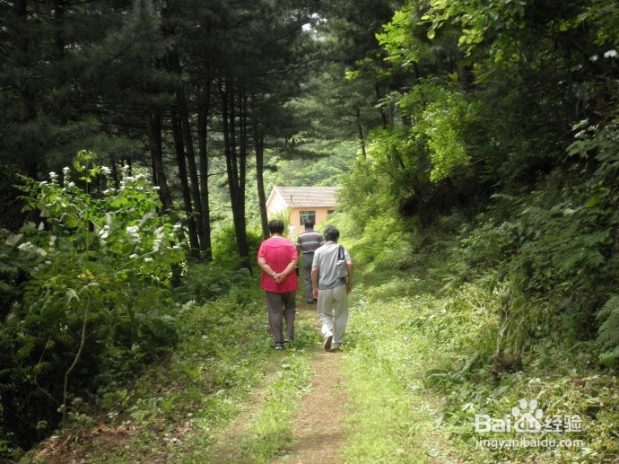 如何掌握自己的情绪