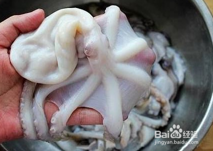 小章鱼怎么处理