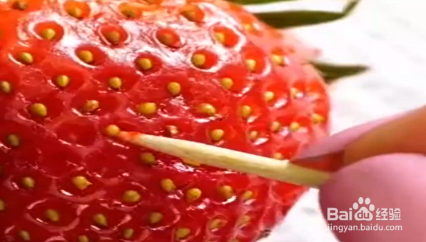 怎么在家轻松种植菠萝和草莓