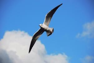 如何一个月逆袭稳过计算机二级Ms Office