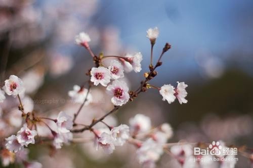 异地恋要注意哪些问题