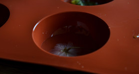 凉粉樱花果冻的做法