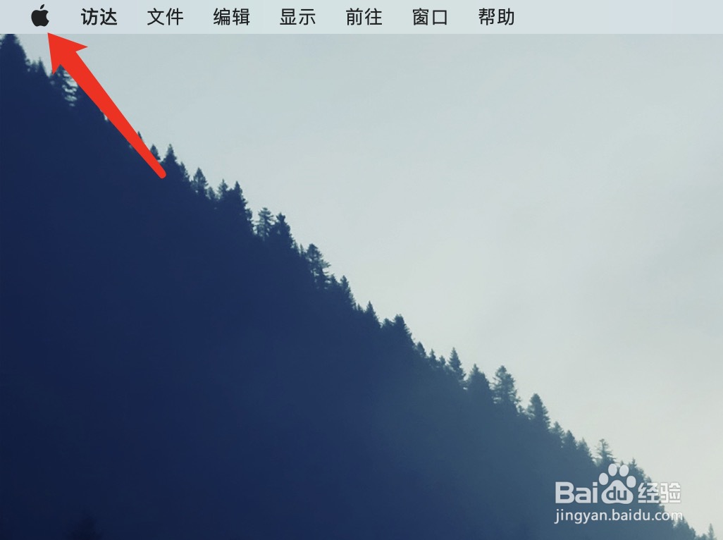 苹果电脑怎么设置鼠标灵敏度