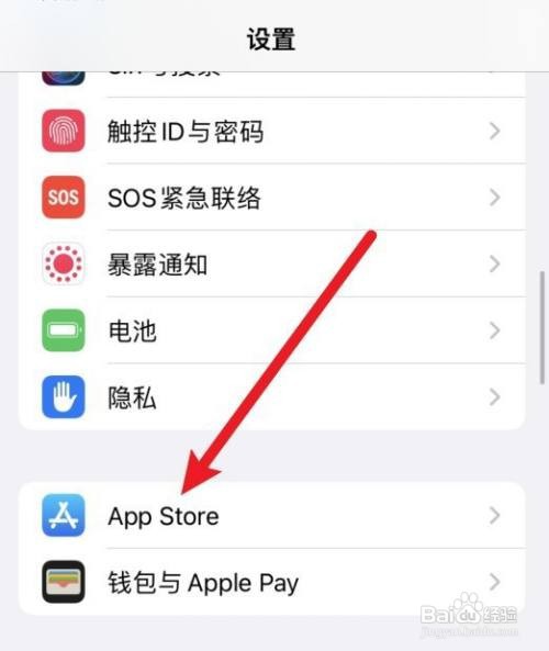 苹果手机怎么限制流量下载app