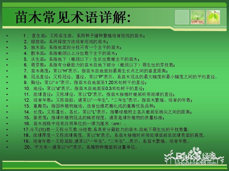 植物的分类介绍