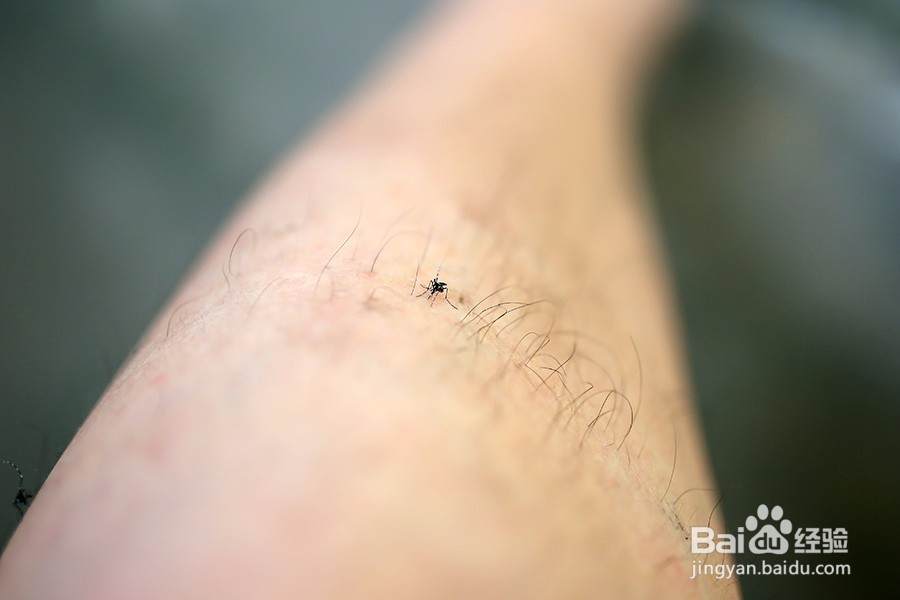 如何用定焦拍蓝天和白云