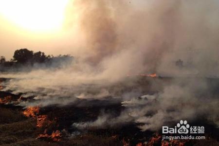 禁止焚烧秸秆，科学依据是什么？